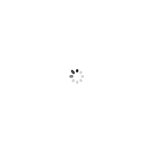 sdeer圣迪奥2019夏装新款简约蝴蝶结白色圆领系带T恤女S18660102图片
